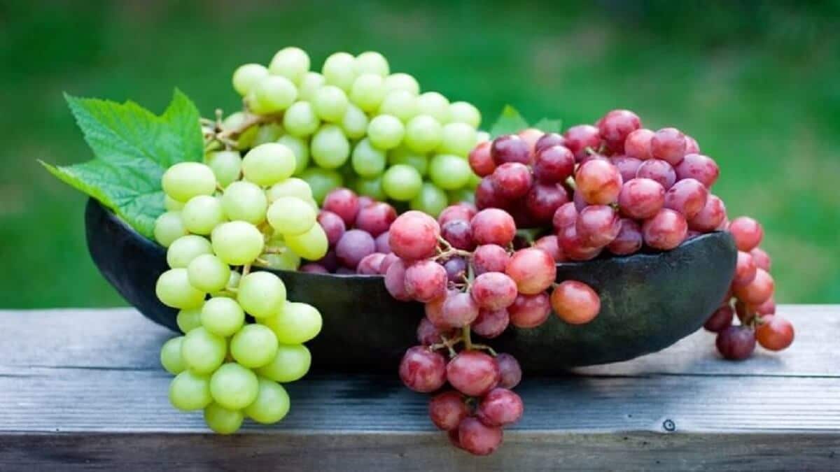 raisin-fruit-frais-de-saison-délicieux-et-sucré